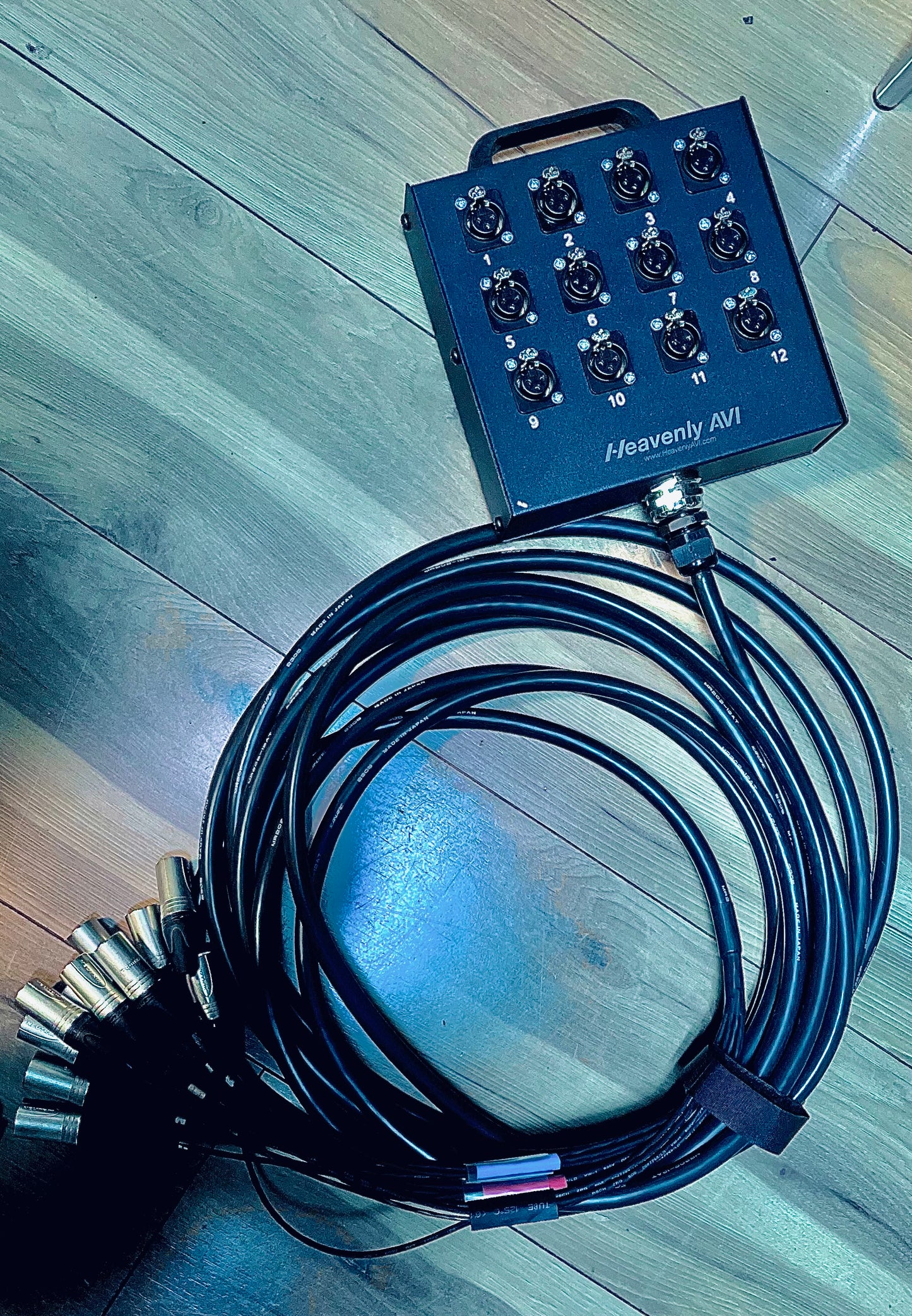 Pro Heavenly AVI Snake 12 Channel Stagebox to Fanout snake Heavy Duty (30')